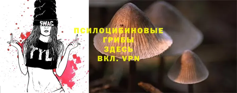 Галлюциногенные грибы Magic Shrooms  Дмитровск 